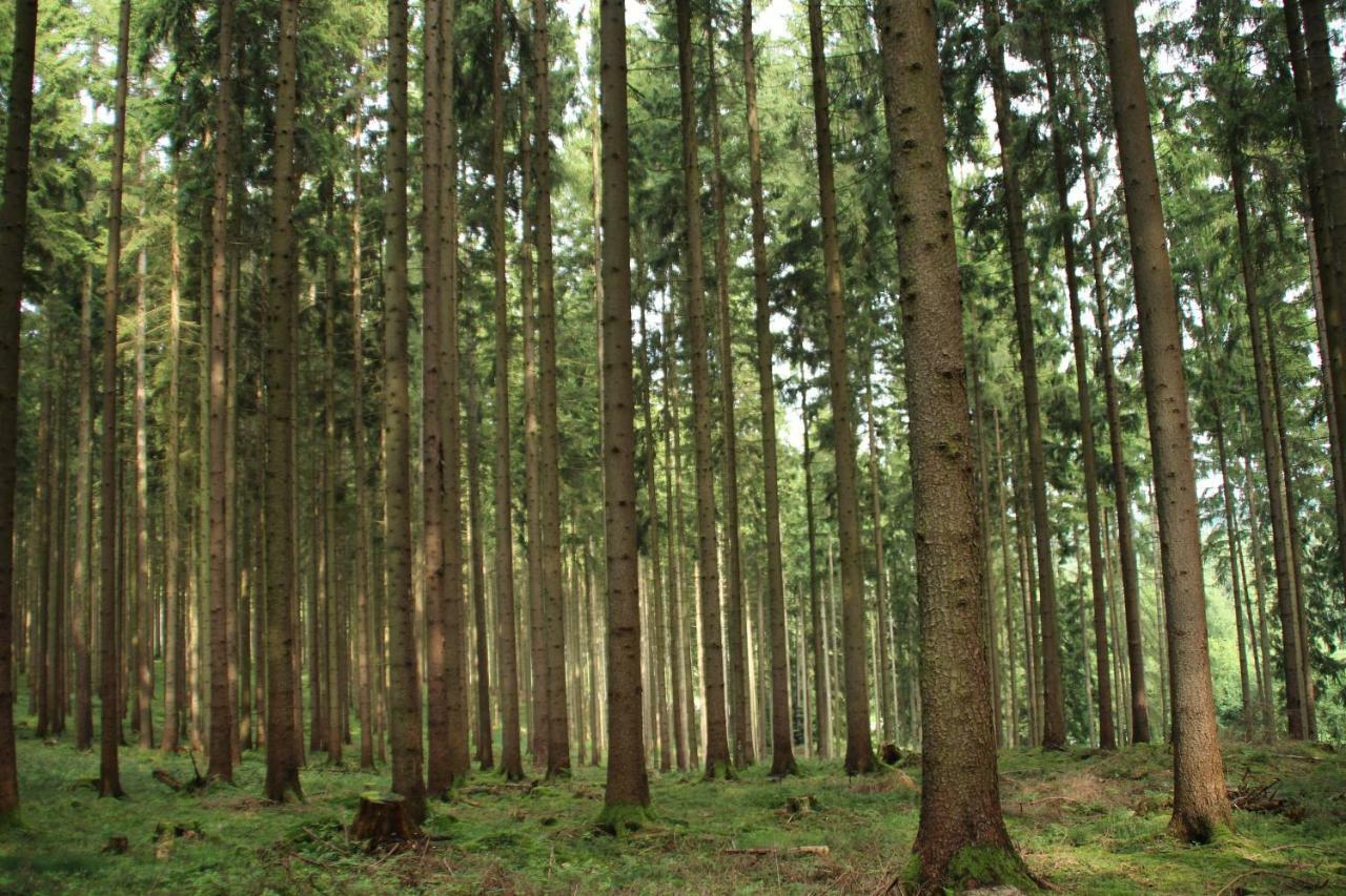 Ferienhaus "Gestiefelter Kater" Am See Im Bergland Kirchheim  Luaran gambar